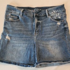 Vervet Denim Shorts 1X Something Cute 2